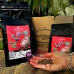 Granos de café El Seductor