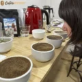 Lidia catando café El Tranquilo descafeinado