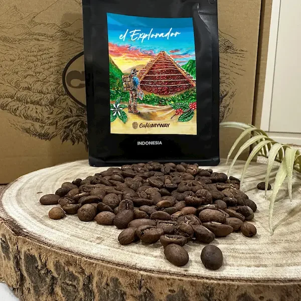 el-explorador-granos-cafe Granos café de especialidad Explorador