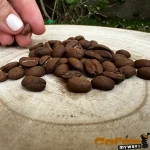 Granos de café El Equilibrado