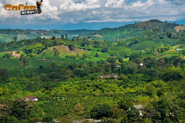 paisaje de colombia