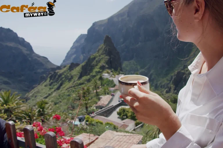 Plantación de café en España Islas Canarias