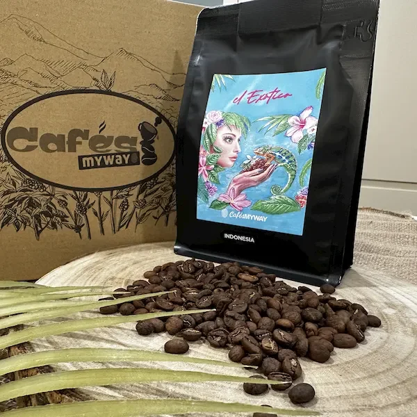 granos-de-cafe-de-especialidad-el-exotico Granos de café de especialidad El Exótico