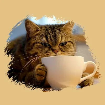 Reto café