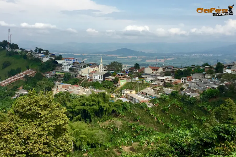 Plantación de café en Colombia