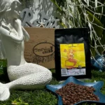 Café Pacifico