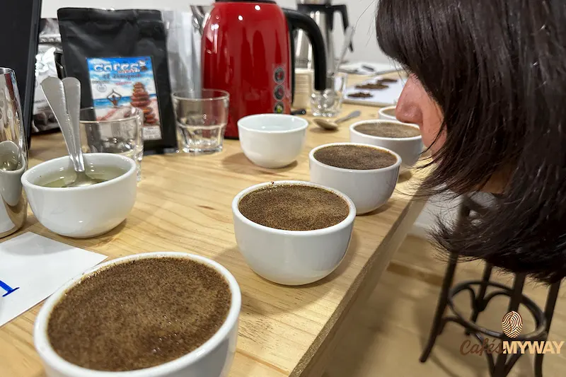 catando cafés