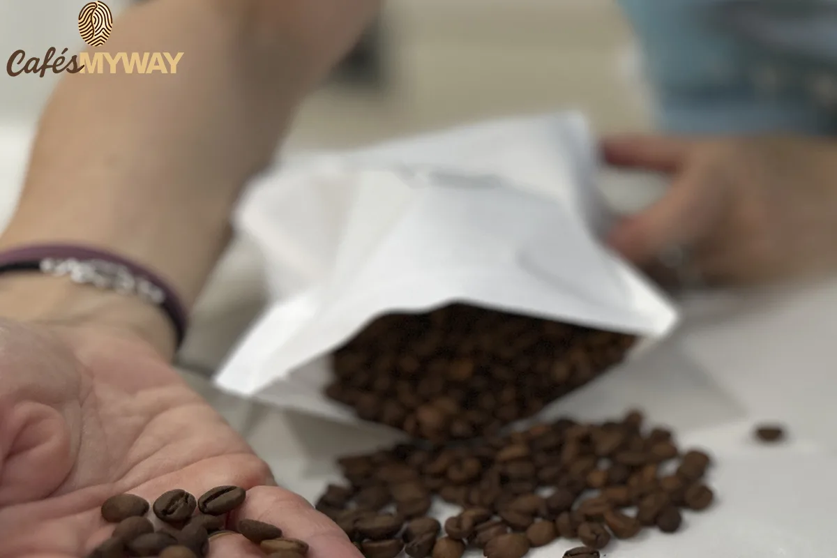 comprobando granos de café de especialidad