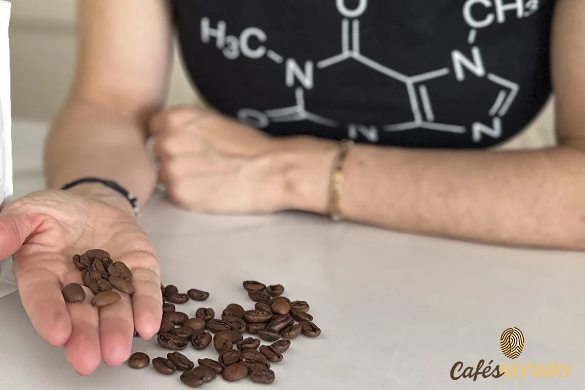 comprobando color de los granos de café de especialidad