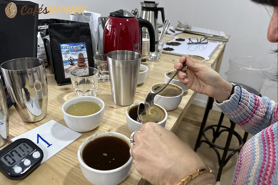 Cata Cafés Myway