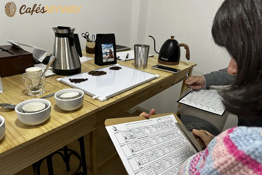 Lidia Zafra catando cafés de especialidad Myway