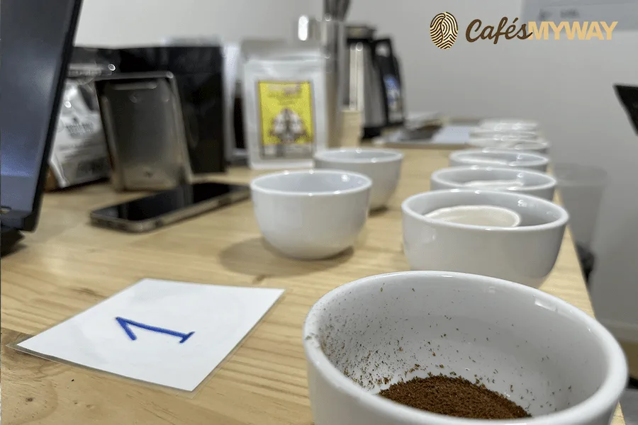 preparación cata Cafés MyWay