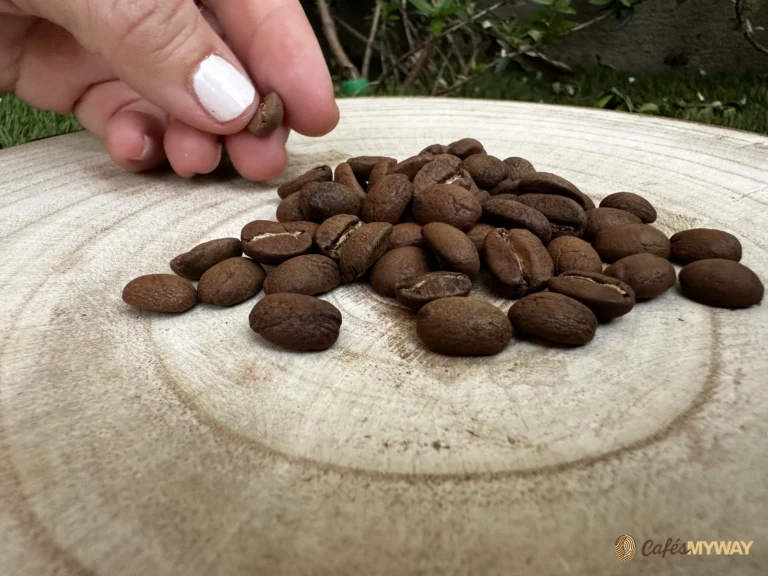 Granos de café sobre una rodaja de madera y una mano sosteniendo un grano